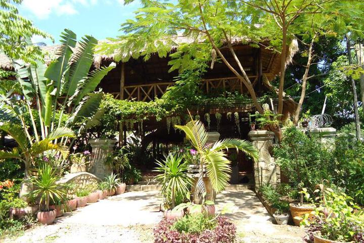 Rega Hotel