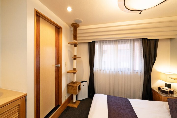 Room 67 of 239