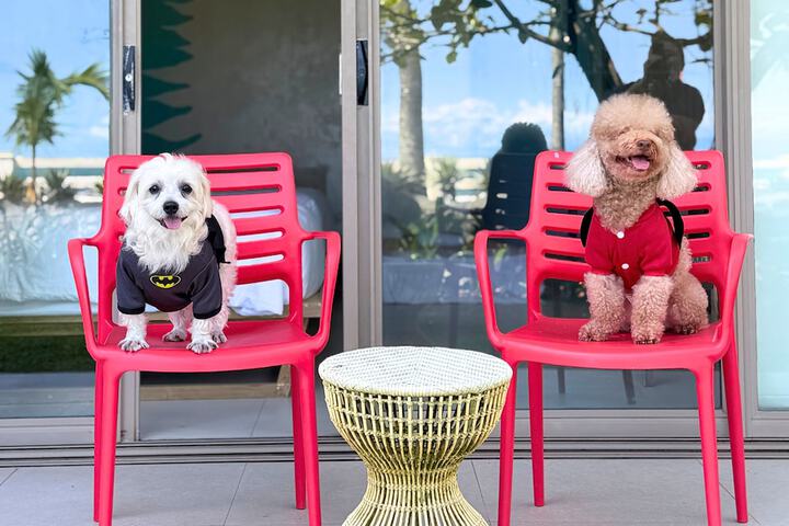 Pet Friendly 18 of 23