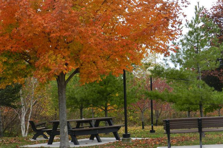 BBQ/picnic area