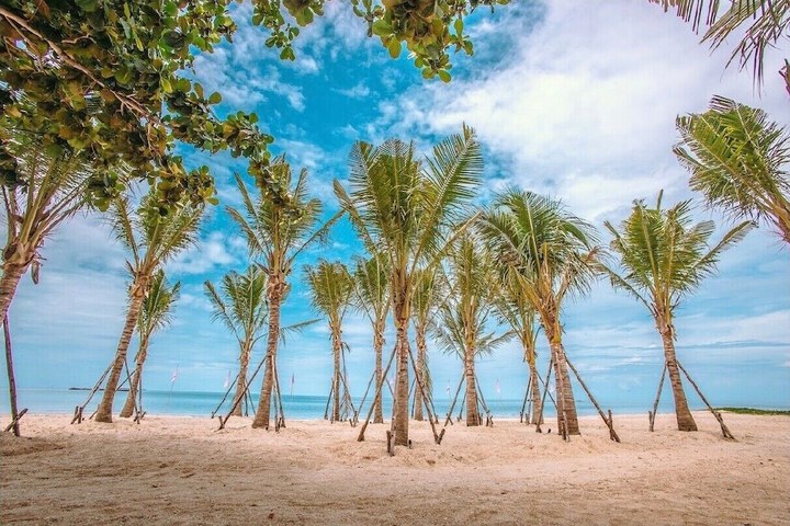 Beach 151 of 165
