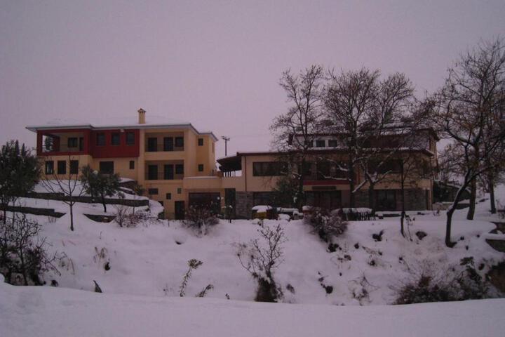 Photo 10