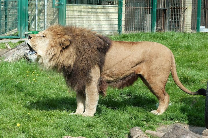 Children's activities