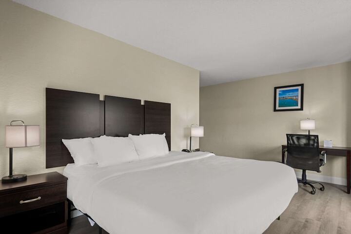 1 King Bed (6 of 15)