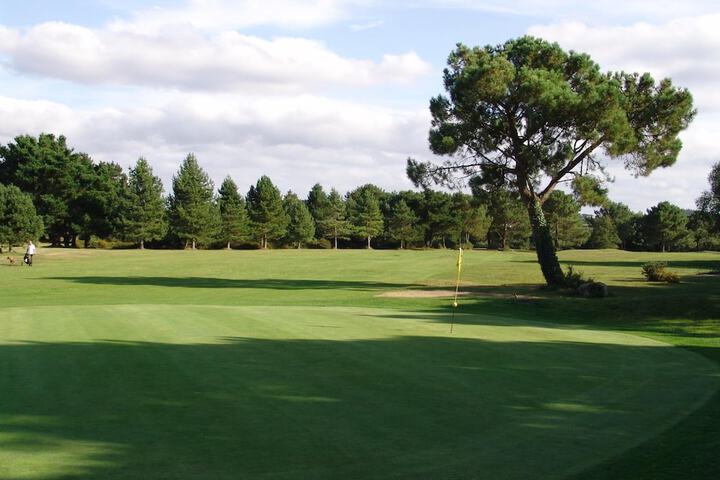 Golf 44 of 77