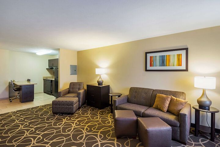 1 King Bed Suite (7 of 22)