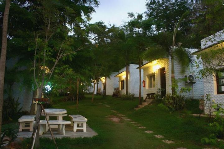 Photo 11