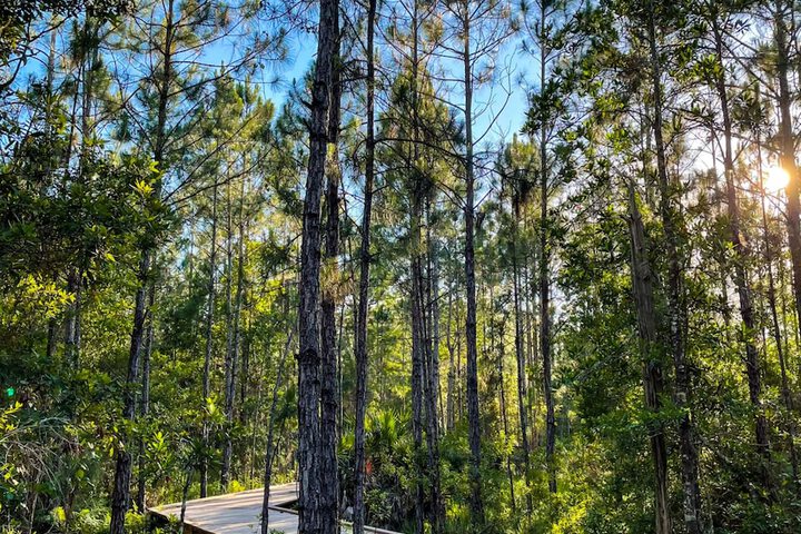 Hiking