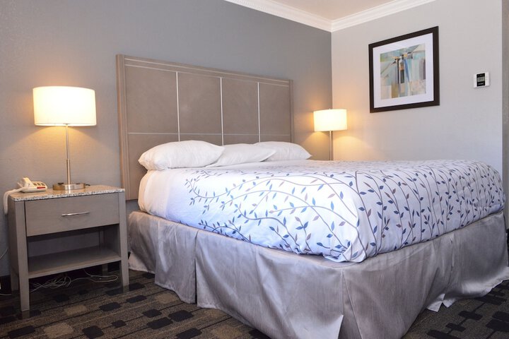 Queen Bed Accessible (31 of 45)