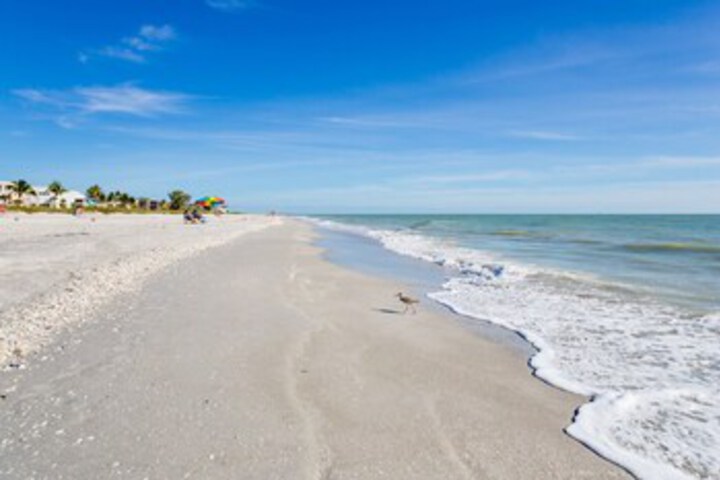 Beach 6 of 25
