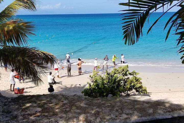 Beach 18 of 31