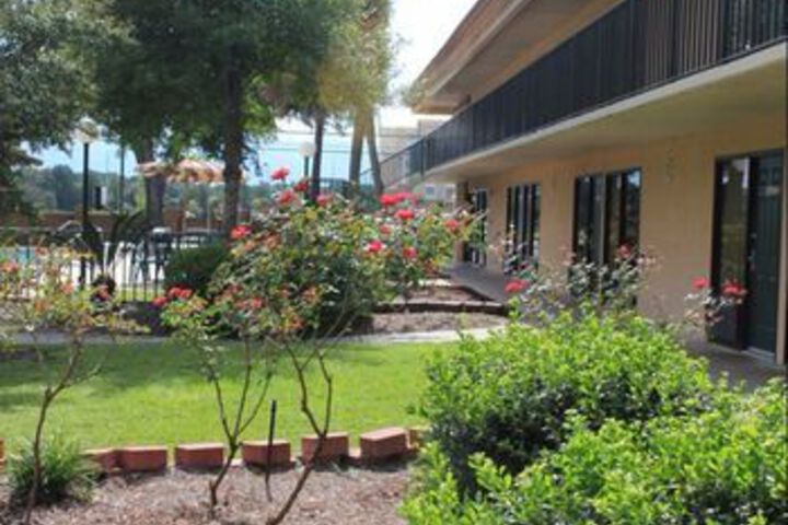 Hotel Exterior 8 of 37