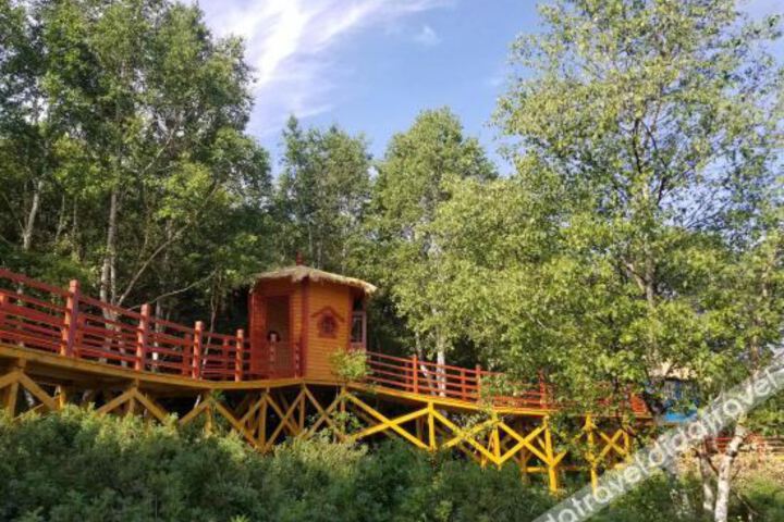 Colorful Forest Vacation Hotel