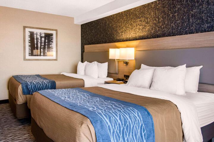 2 Queen Beds (1 of 9)