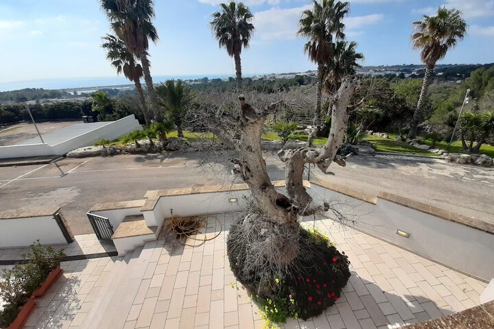Terrace/Patio 133 of 249