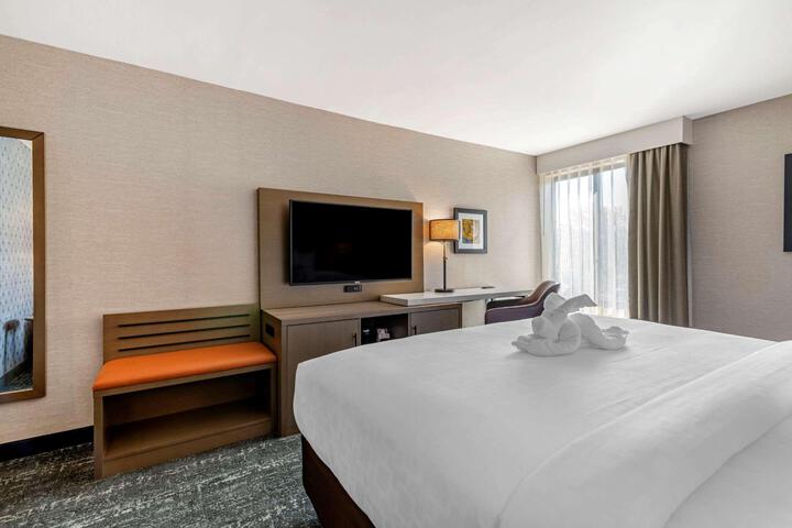 1 King Bed Accessible (4 of 17)