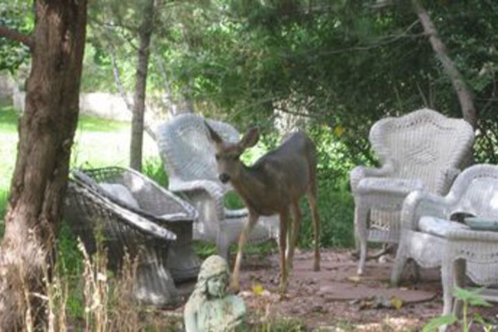 Property Grounds 18 of 19