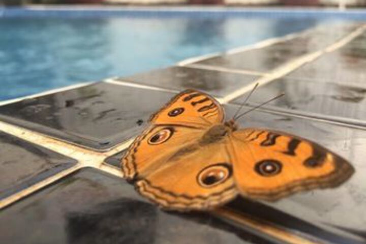 Pool 67 of 71