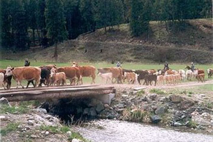 Property Grounds 15 of 20