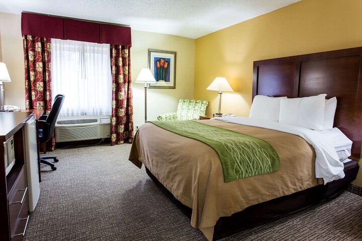 1 King Bed (5 of 14)