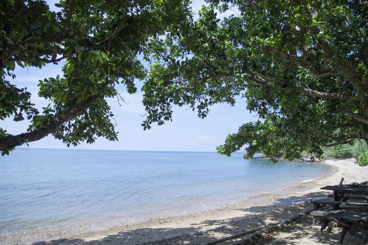 Beach 74 of 103
