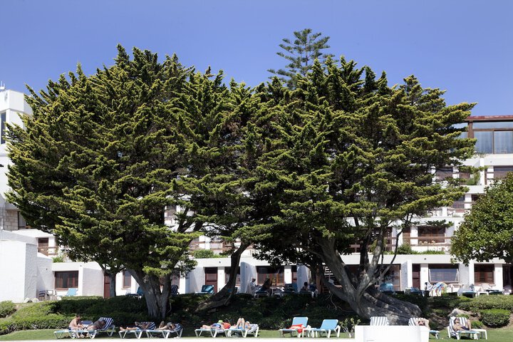Hotel Exterior 34 of 41