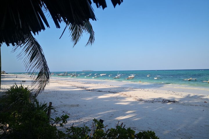 Beach 75 of 96