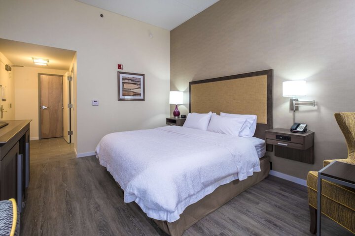 1 King Mobility Accessible Roll in Shower with Sofa Bed (15 of 22)