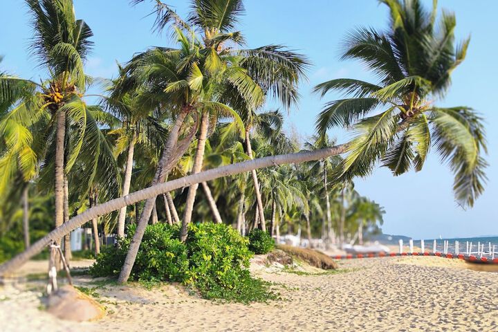 Beach 56 of 70