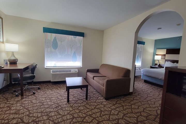 Suite 1 Queen Bed Sofa Bed Microwave and Refrigerator High Speed Internet Accessible Shower Only Full Breakfast (12 of 18)