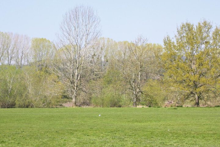 Property Grounds 36 of 43