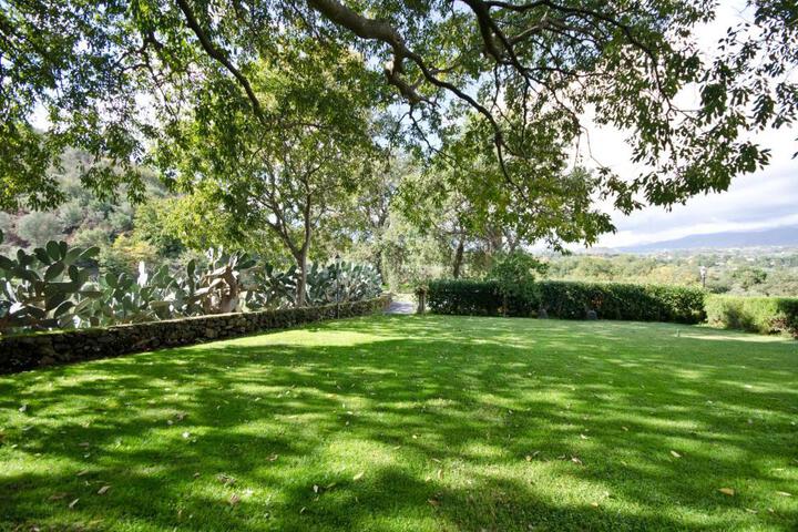 General 54 of 77