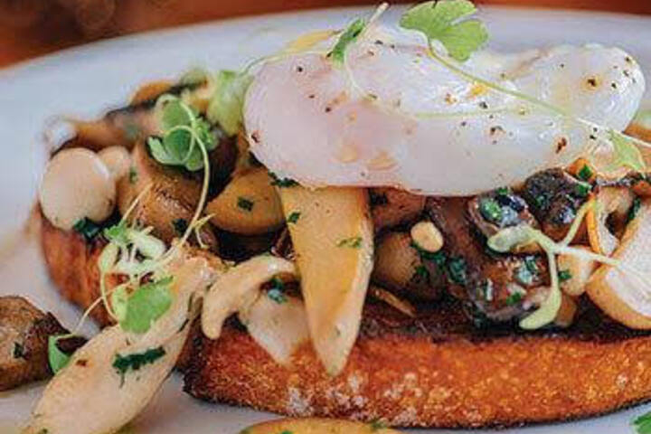 Spa and Wellness Pictures