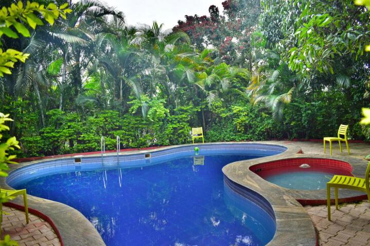 Dolphin Resort