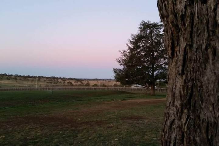 Property Grounds 25 of 33