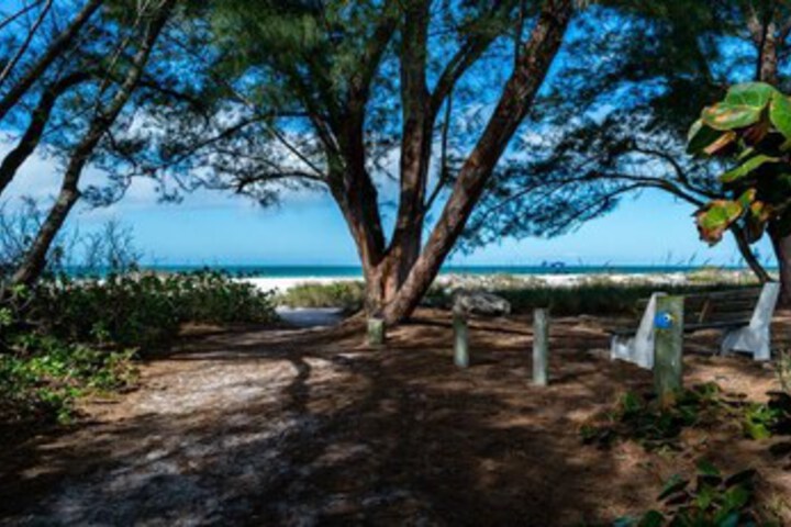 Beach or Ocean View