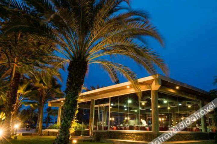 General 11 of 31