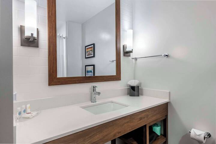 1 King Bed Suite (9 of 10)