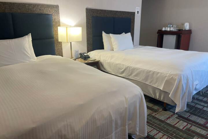 Room 25 of 101