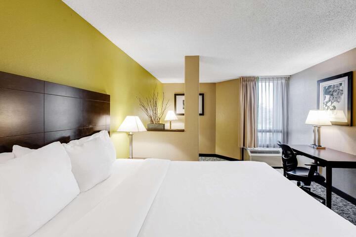 1 King Bed (10 of 11)