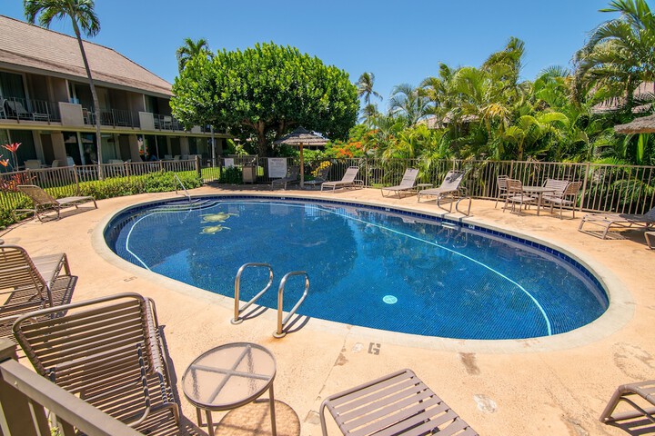 Pool 207 of 235