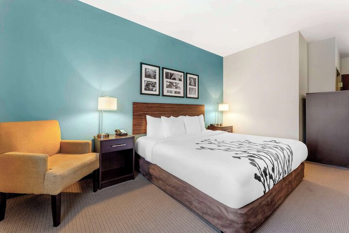1 King Bed (20 of 20)
