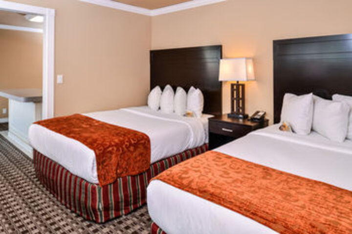 Suite Photo