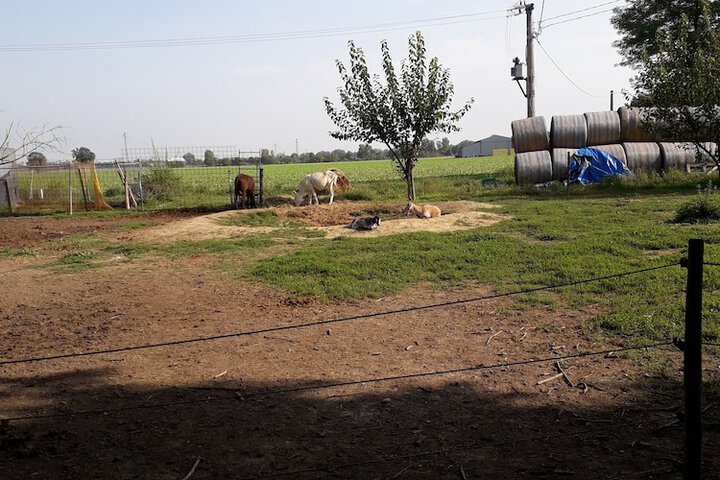 Agriturismo La Ravegnana