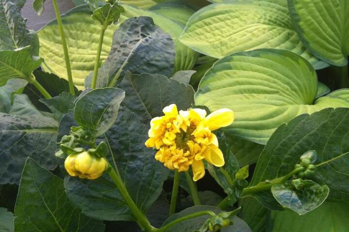 Spa and Wellness Pictures