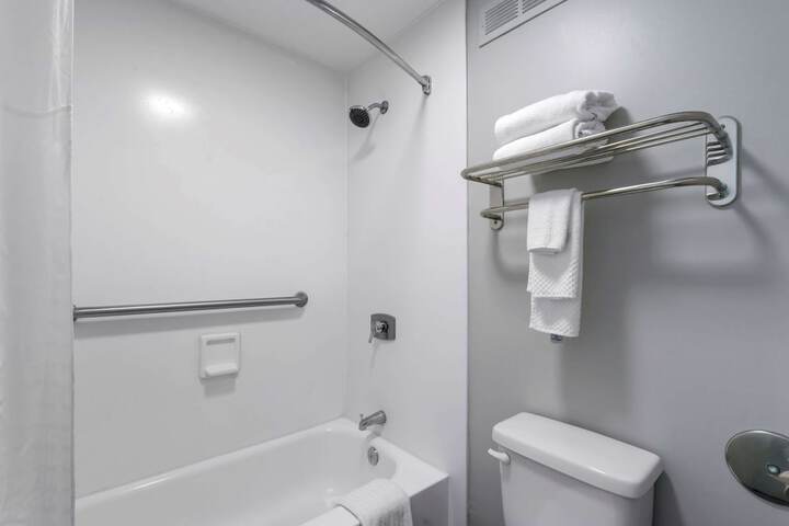 1 King Bed Accessible (5 of 24)