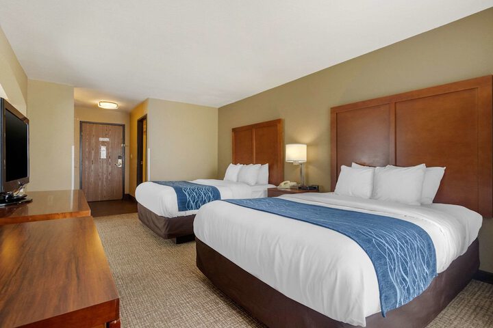2 Queen Beds (12 of 14)