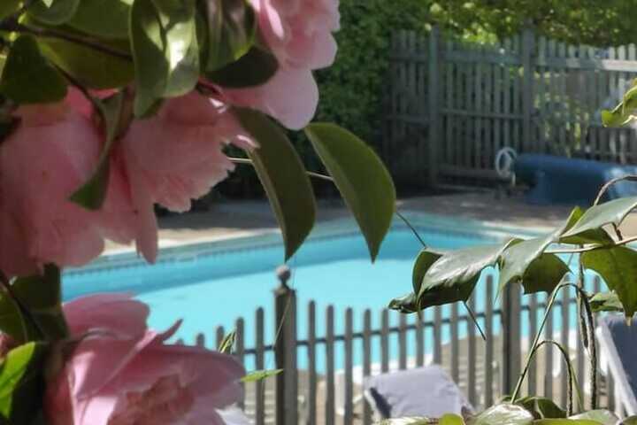Pool 12 of 20