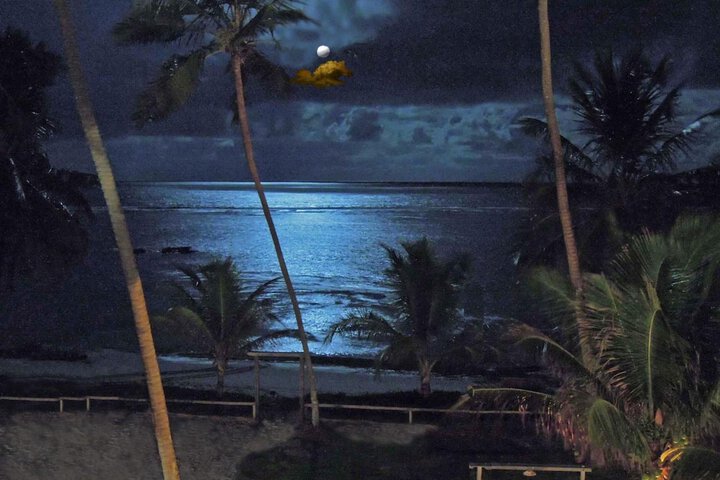 Beach 36 of 53