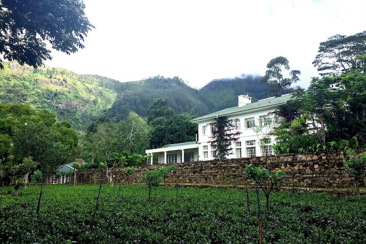 Hotel 53 of 62